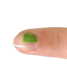 lakier bazowy lakier bazowy