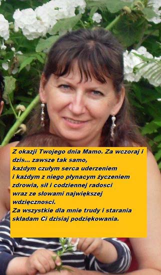 282672_128150120607137_1165490_n